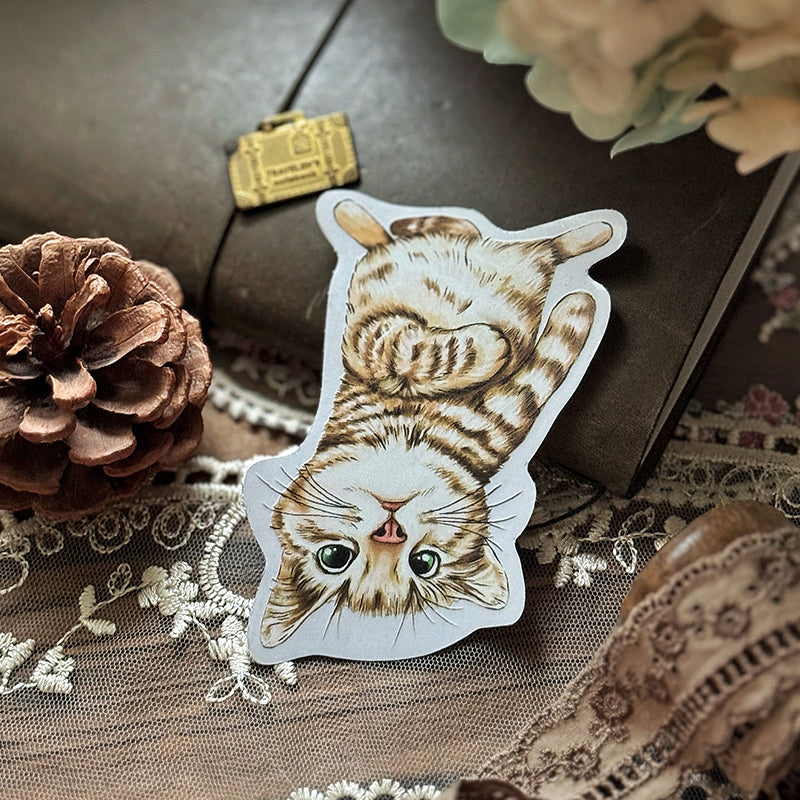 Cats Daily/transparent waterproof/ stickers for TN