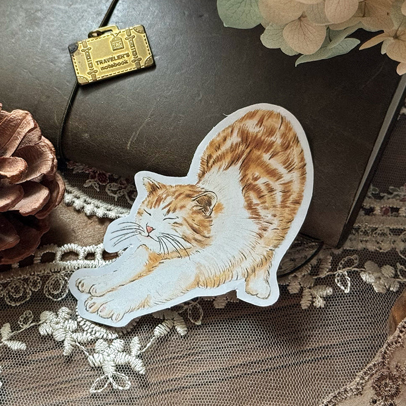 Cats Daily/transparent waterproof/ stickers for TN