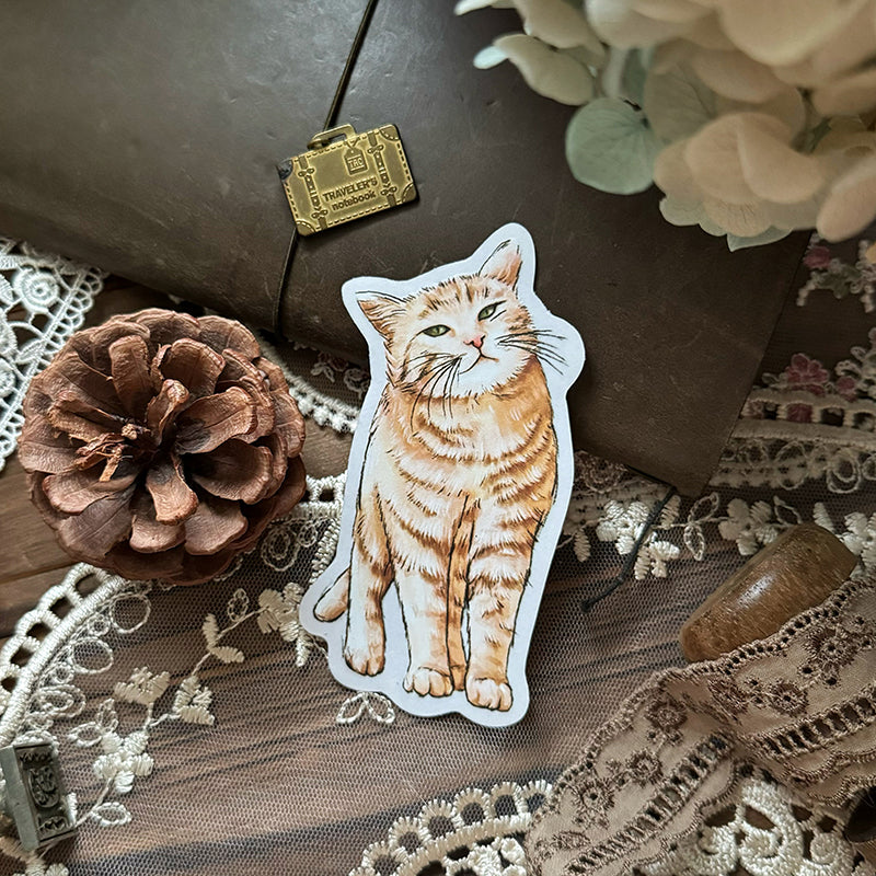 Cats Daily/transparent waterproof/ stickers for TN