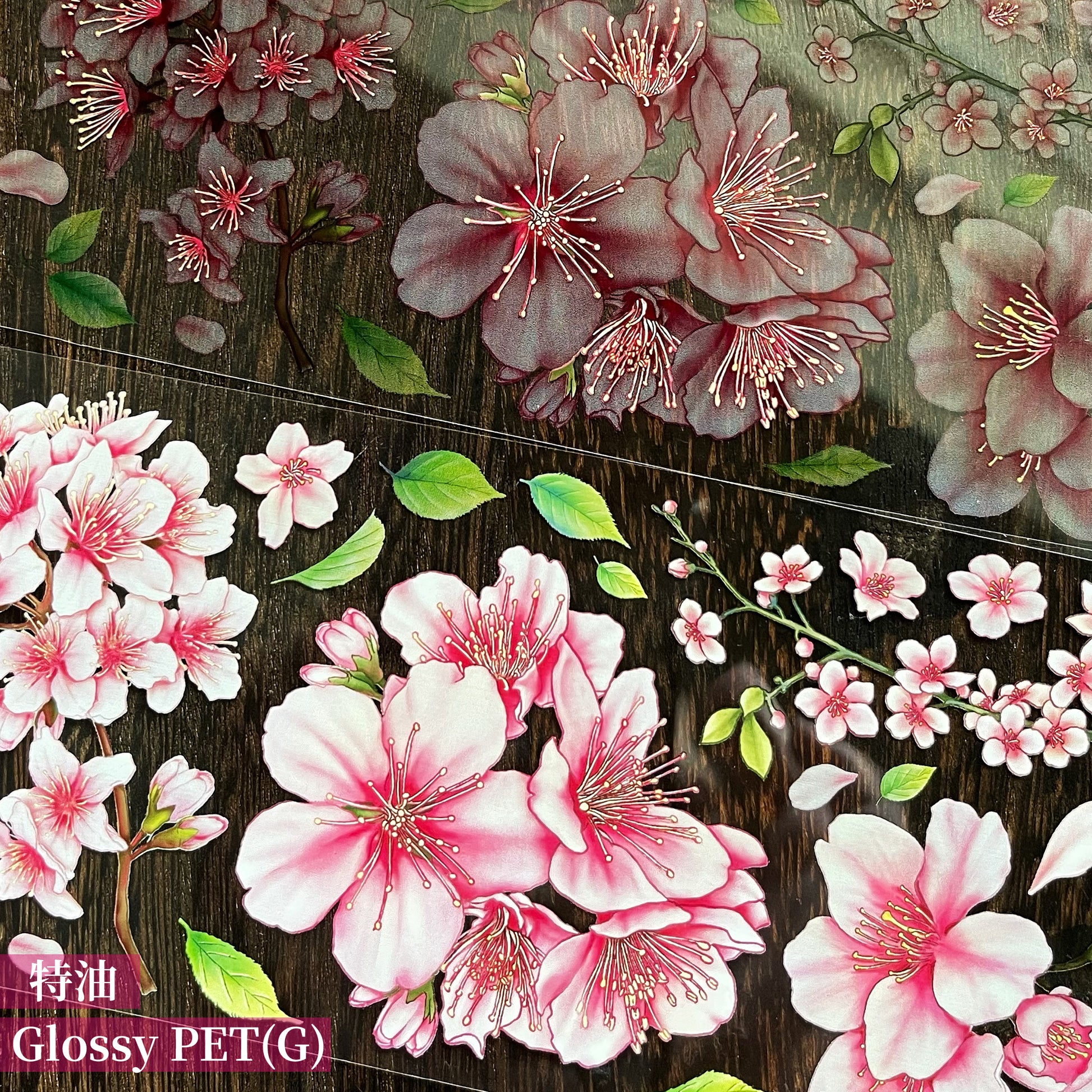 紙膠帶分裝 TAP01-TAP20 - YU'S WORLD STORE|小玉的貼貼世界