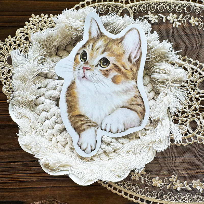 客製化 ‧ 貓咪防水貼紙 ‧ 行李箱 ‧ 筆電 ‧ 車車可用 - YU'S WORLD STORE|小玉的貼貼世界