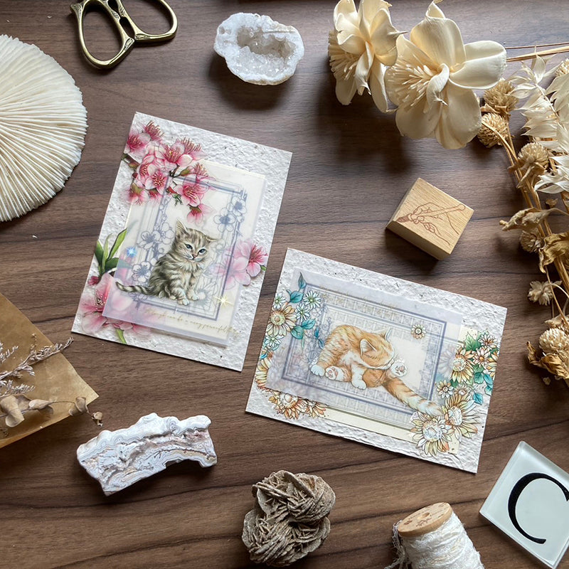 yusworld_sorry mom pet tape