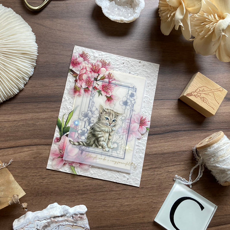 yusworld_sorry mom pet tape