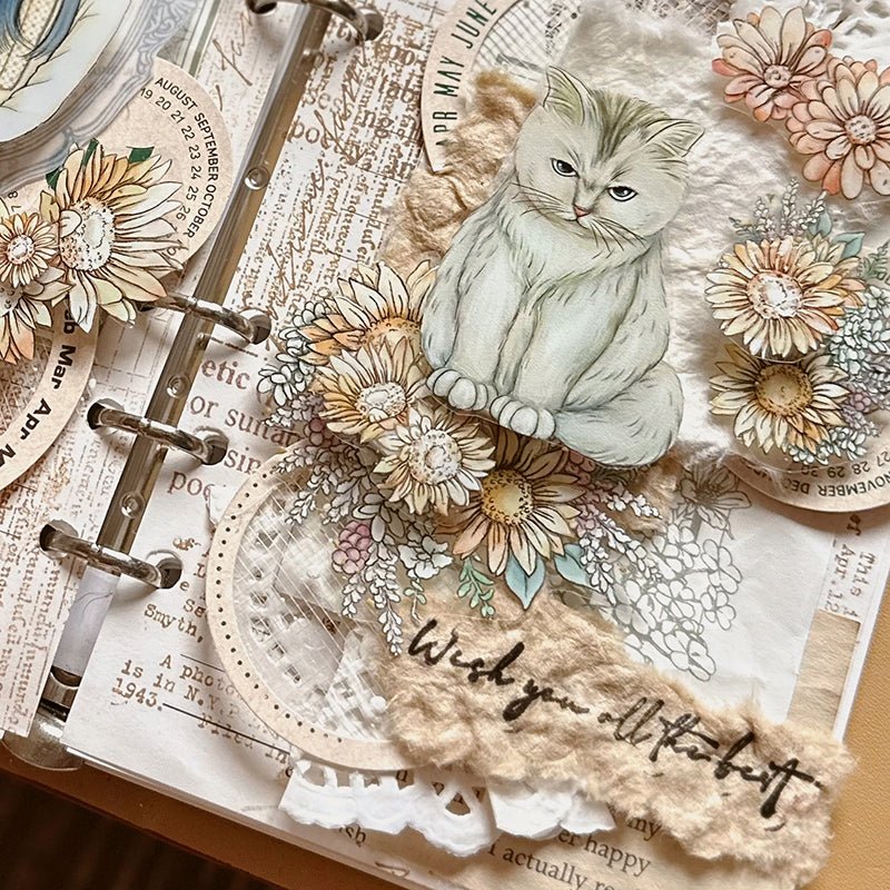 yusworld_sorry mom pet tape