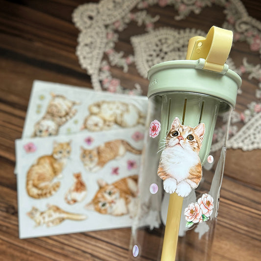 喵咪日常 Cats Daily 乾式轉印貼紙 / 水壺貼紙 / 感壓貼紙 - YU'S WORLD STORE|小玉的貼貼世界