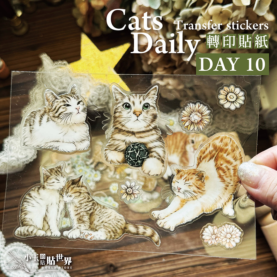 喵咪日常 Cats Daily 乾式轉印貼紙 / 水壺貼紙 / 感壓貼紙 - YU'S WORLD STORE|小玉的貼貼世界