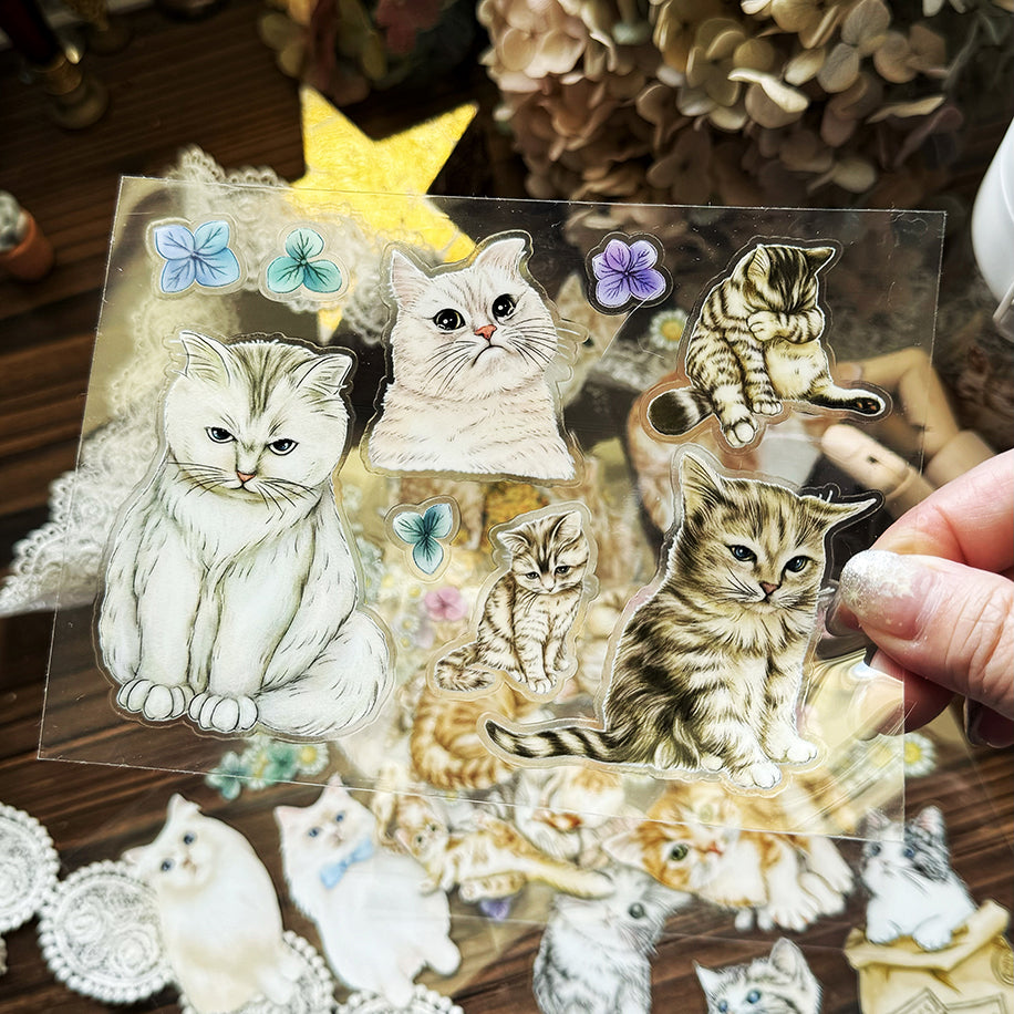 Cats Daily Transfer Sticker 乾式轉印貼紙 - YU'S WORLD STORE|小玉的貼貼世界