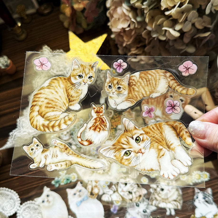 Cats Daily Transfer Sticker 乾式轉印貼紙 - YU'S WORLD STORE|小玉的貼貼世界