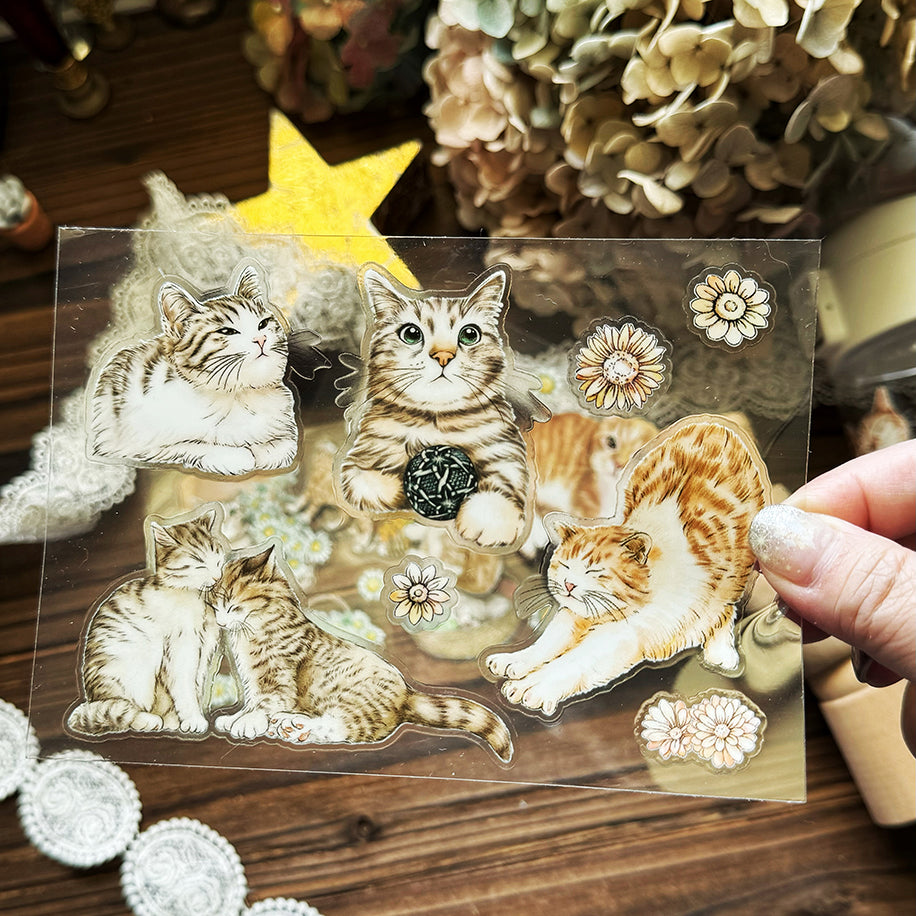 Cats Daily Transfer Sticker 乾式轉印貼紙 - YU'S WORLD STORE|小玉的貼貼世界