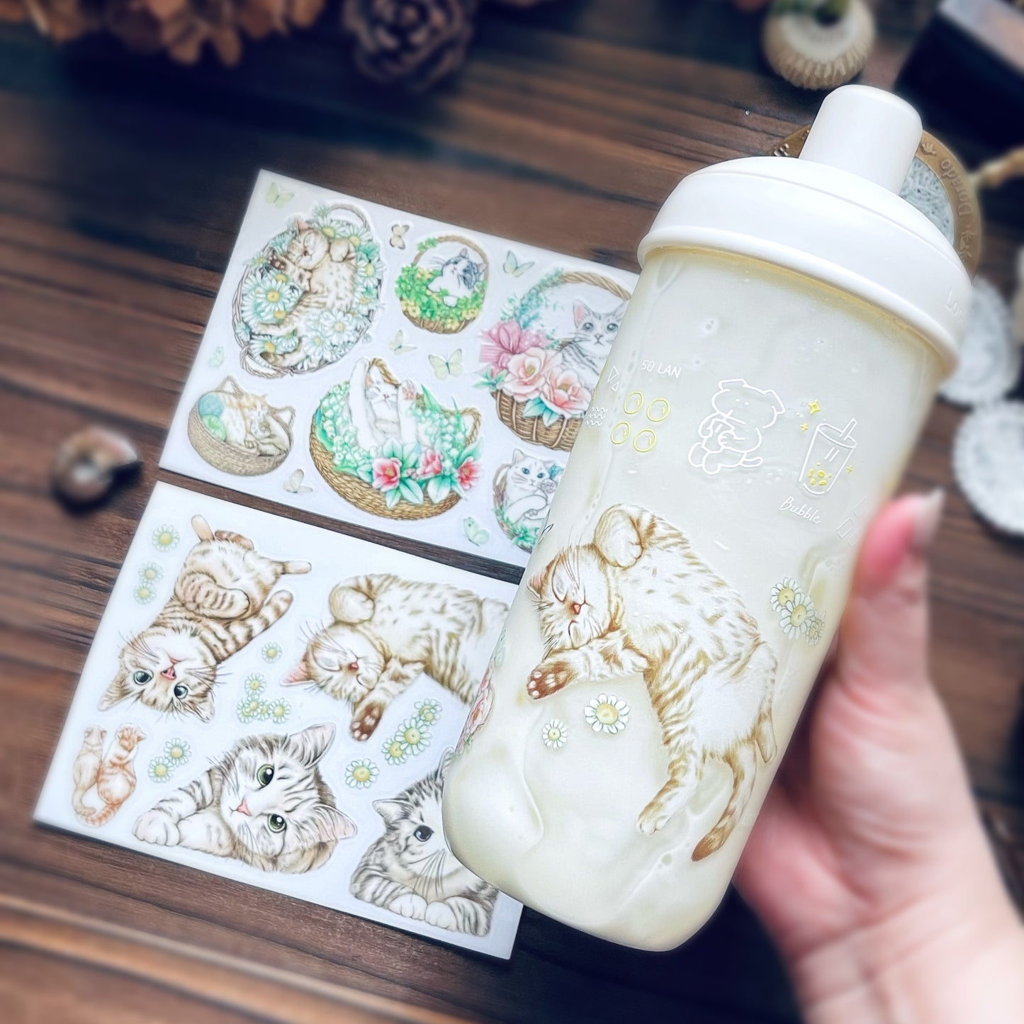 Cats Daily Transfer Sticker 乾式轉印貼紙 - YU'S WORLD STORE|小玉的貼貼世界