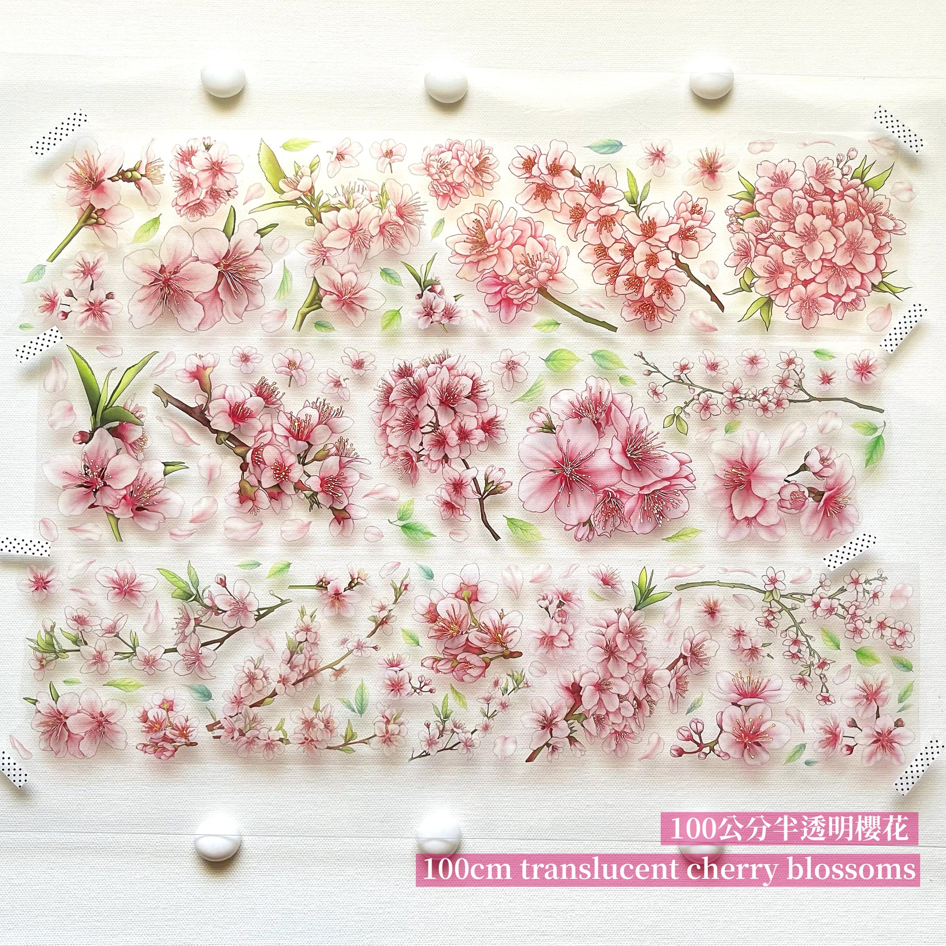 櫻花季 / 紙膠帶 - YU'S WORLD STORE|小玉的貼貼世界