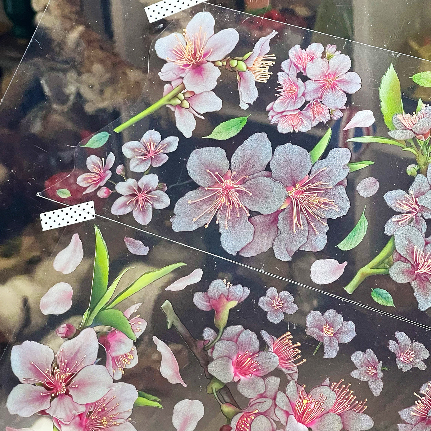 櫻花季 / 紙膠帶 - YU'S WORLD STORE|小玉的貼貼世界