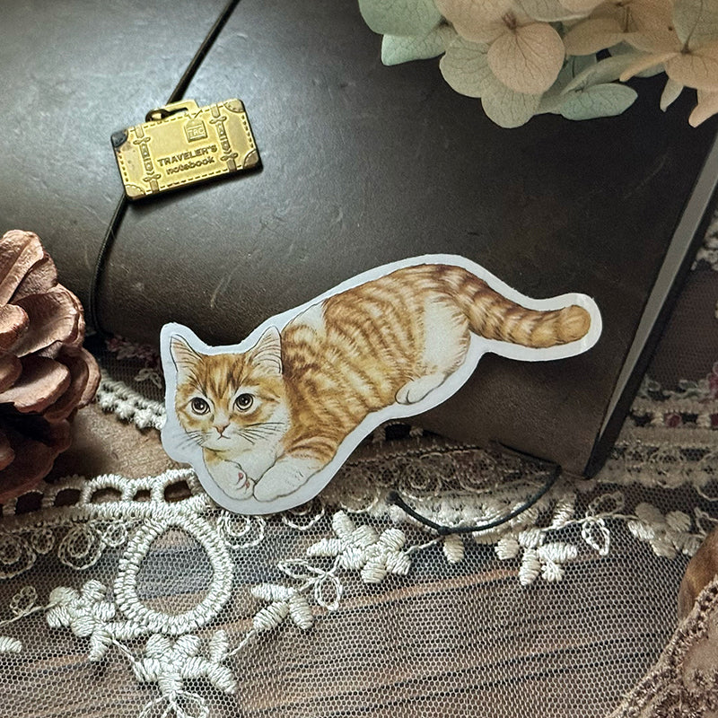 Cats Daily/transparent waterproof/ stickers for TN