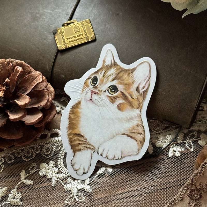 Cats Daily/transparent waterproof/ stickers for TN