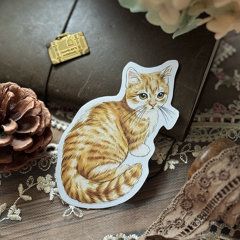 Cats Daily/transparent waterproof/ stickers for TN