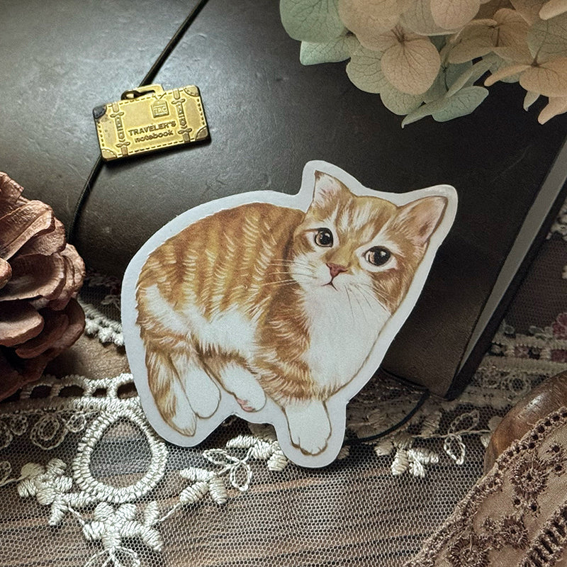 Cats Daily/transparent waterproof/ stickers for TN