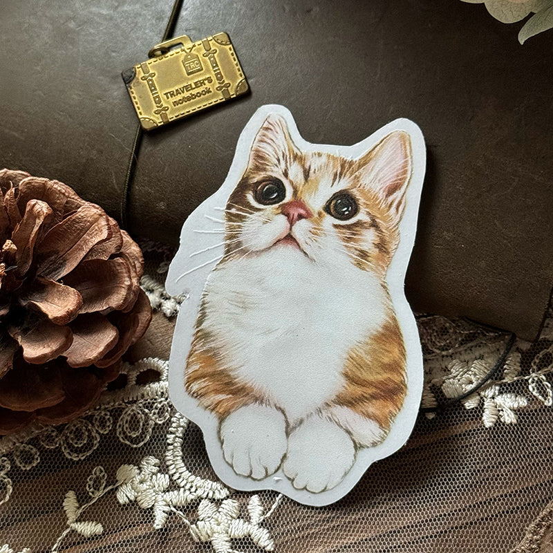 Cats Daily/transparent waterproof/ stickers for TN