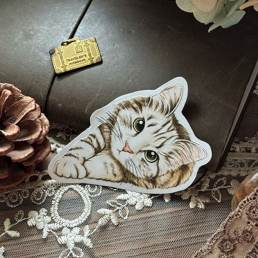 Cats Daily/transparent waterproof/ stickers for TN