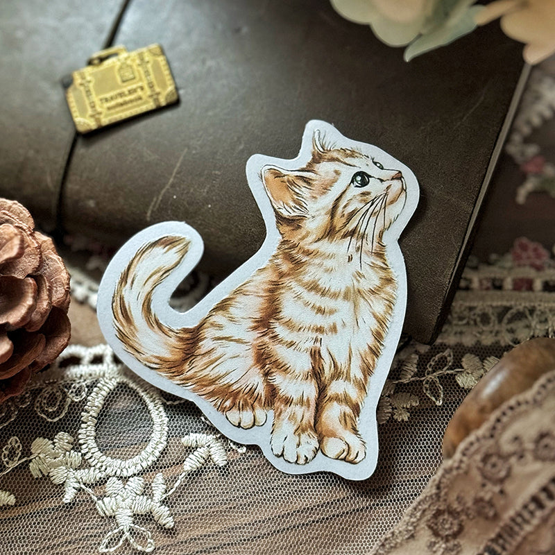 Cats Daily/transparent waterproof/ stickers for TN