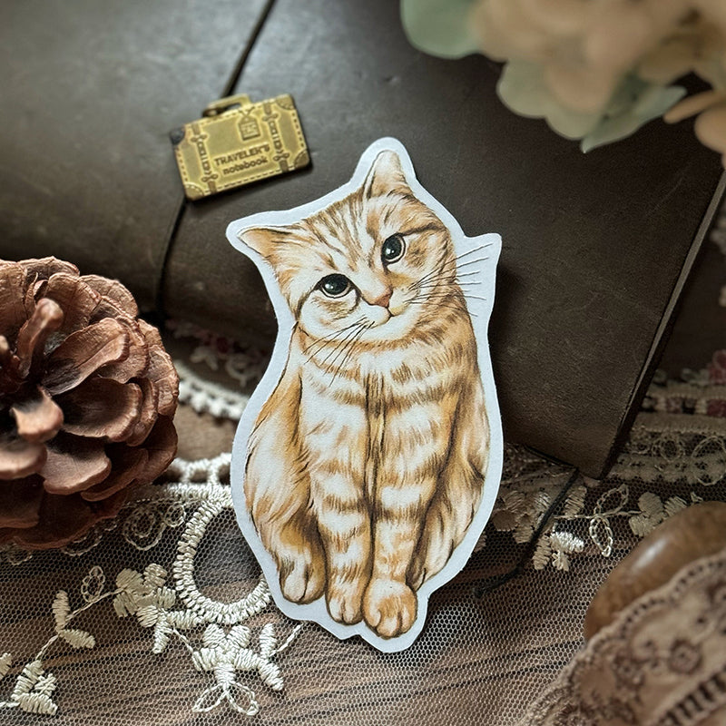 Cats Daily/transparent waterproof/ stickers for TN