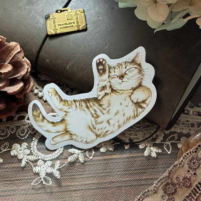 Cats Daily/transparent waterproof/ stickers for TN