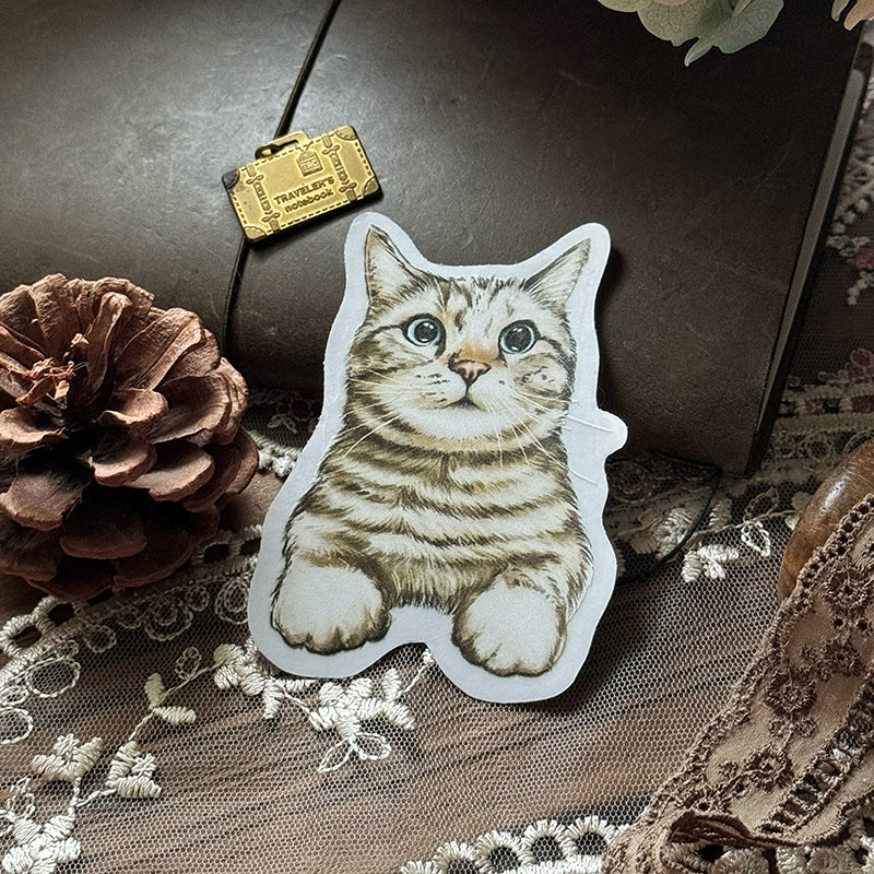 Cats Daily/transparent waterproof/ stickers for TN