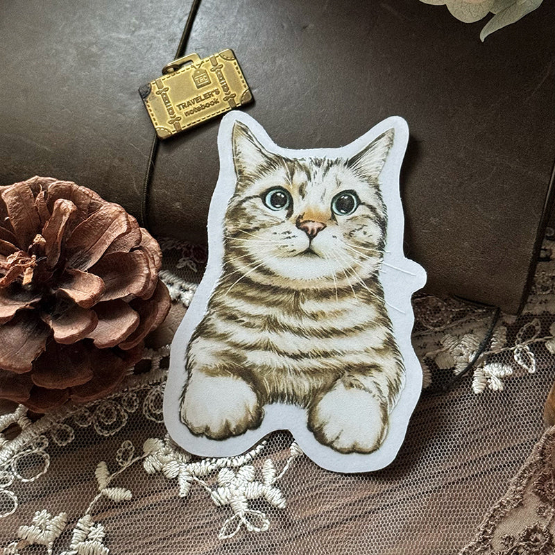 Cats Daily/transparent waterproof/ stickers for TN