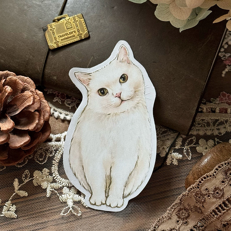 Cats Daily/transparent waterproof/ stickers for TN