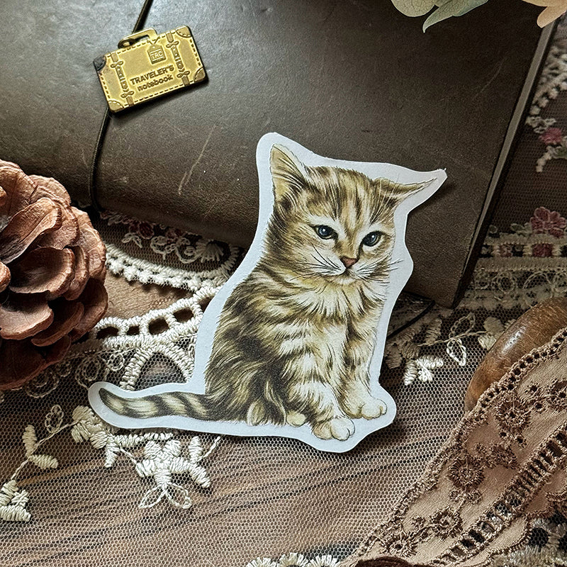 Cats Daily/transparent waterproof/ stickers for TN