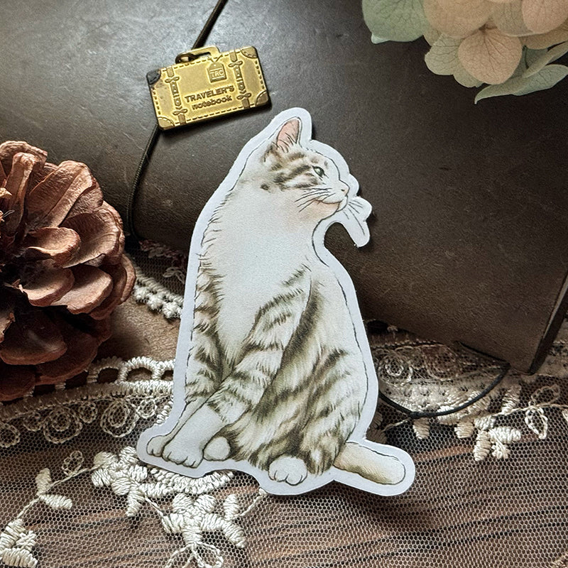 Cats Daily/transparent waterproof/ stickers for TN