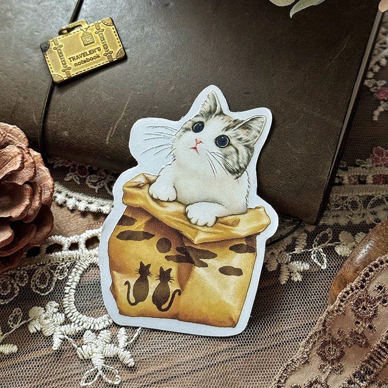 Cats Daily/transparent waterproof/ stickers for TN