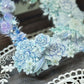 TAP37 微光蔓影 / 亮面PET / 膠帶 / 彩虹晶透 - YU'S WORLD STORE｜小玉的貼貼世界