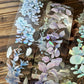 TAP37 微光蔓影 / 亮面PET / 膠帶 / 彩虹晶透 - YU'S WORLD STORE｜小玉的貼貼世界