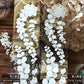 TAP37 微光蔓影 / 亮面PET / 膠帶 / 彩虹晶透 - YU'S WORLD STORE｜小玉的貼貼世界
