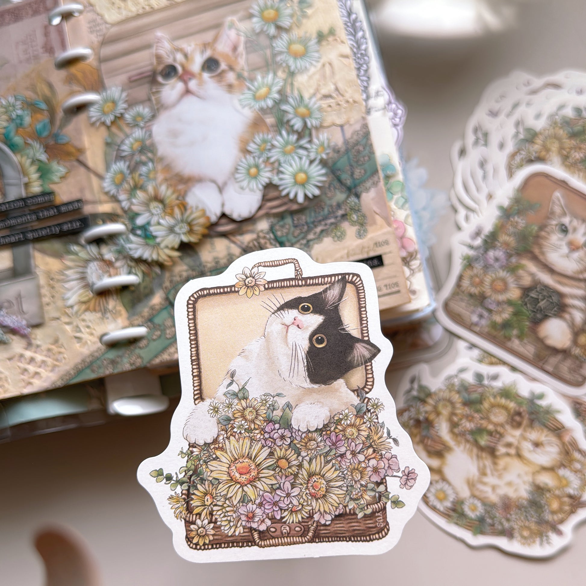 new / 貓咪的花店便箋 - YU'S WORLD STORE｜小玉的貼貼世界