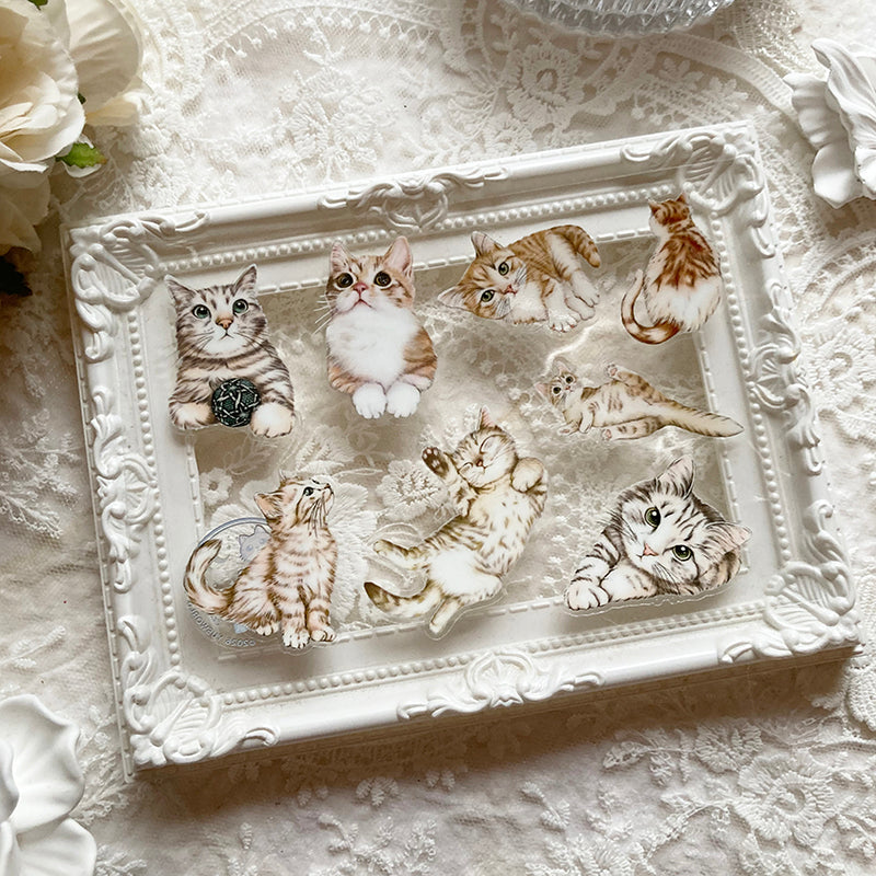 貓咪日常 Cats Daily 水晶貼紙 / 轉印貼紙 / 感壓貼紙 - YU'S WORLD STORE｜小玉的貼貼世界