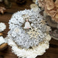 雙面花環割型卡片套組/聖誕花圈/拼貼素材 - YU'S WORLD STORE｜小玉的貼貼世界